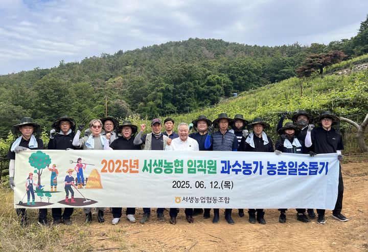 [울산=뉴시스] 울산 서생농협(조합장 최남식)은 12일 울주군 서생면에 위치한 배 재배 농가를 찾아 농촌 일손 부족 해소를 위한 봉사활동을 했다고 밝혔다. (사진= 서생농협 제공) 2025.06.12.photo@newsis.com *재판매 및 DB 금지