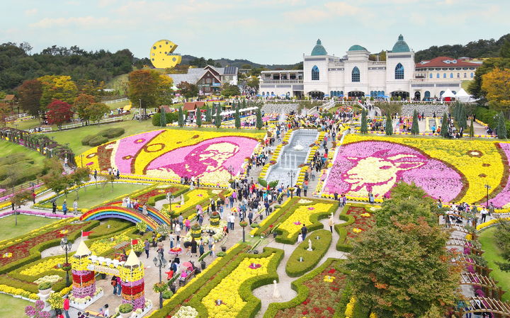 [임실=뉴시스] 지난해 임실N치츠축제, 천만송이 국화꽃이 만개한 임실치즈테마파크. *재판매 및 DB 금지
