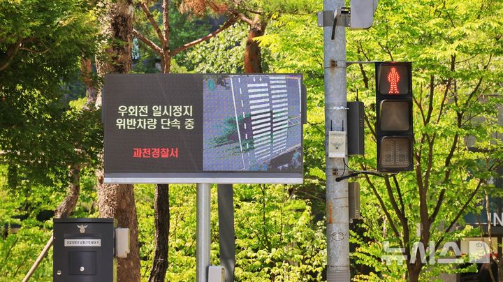 [과천=뉴시스] '과천형 스마트 보행자 안전 시스템' 설치 현장. (사진=과천시 제공). 2025.06.12.photo@newsis.com
