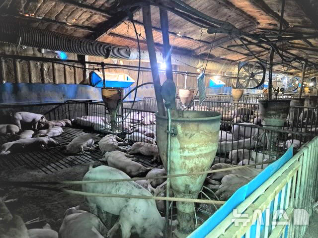 악취 민원이 끊이지 않았던 나주시 세지면 대산리 돈사가 농촌공간 정비사업으로 철거된다. (사진=나주시 제공) photo@newsis.com