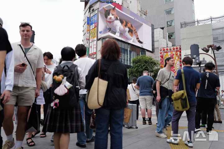 [도쿄=AP/뉴시스]일본 수도인 도쿄(東京)도의 신주쿠(新宿)구는 주거지역 및 학교 주변에 공유숙박(민박) 영업을 원칙적으로 금지할 방침을 굳혔다고 요미우리신문이 7일 보도했다. 사진은 지난해 6월 13일 일본 도쿄의 신주쿠 쇼핑가가 관광객들로 붐비고 있는 모습. 2026.09.07.