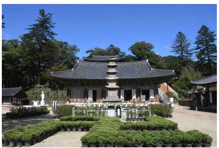 [서울=뉴시스] 지역 주민의 축복 속에 국보로 승격된 공주 마곡사 오층석탑 관련 기념 행사가 열린다. (사진=국가유산청 제공) 2025.06.13. photo@newsis.com *재판매 및 DB 금지