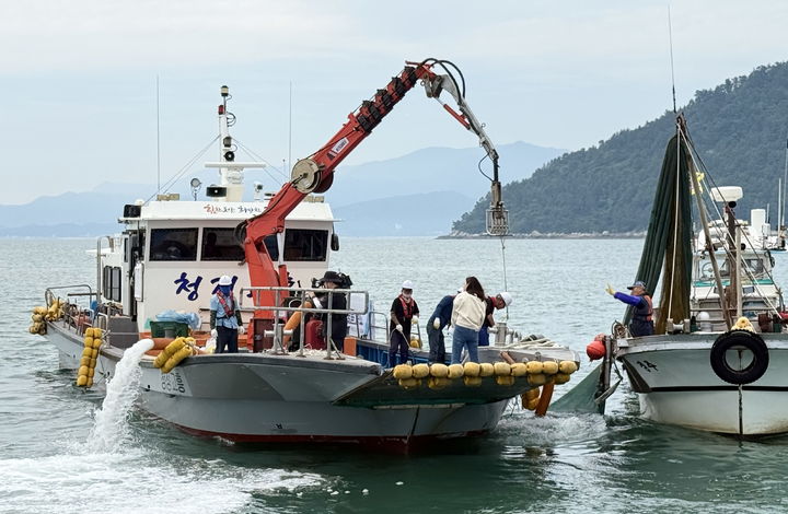 [무안=뉴시스]12일 고흥 득량만 해역에서 전남도, 해양수산부, 국립수산과학원, 고흥군, 어업인 등이 참여한 가운데 해파리 대량 발생 재난 대비 민·관 합동훈련이 실시되고 있다. (사진=전남도 제공) 2025.06.13. photo@newsis.com *재판매 및 DB 금지