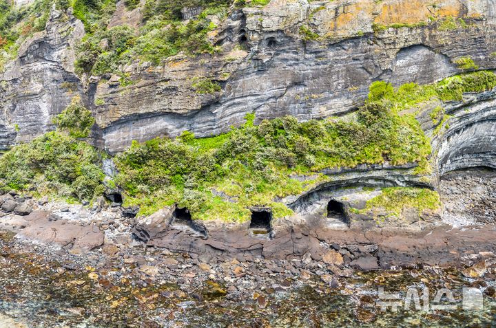 [제주=뉴시스] 일제강점기 일본군이 구축한 성산일출봉 갱도진지. (사진=제주자연문화유산연구회 제공)
