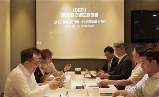 [서울=뉴시스] 한국핀테크산업협회 산하 디지털경제금융연구원이 지난 12일 '신(新)정부에 바라는 핀테크·블록체인 정책' 관련 라운드테이블을 진행하고 있다. (사진=핀산협 제공) 2025.06.13. photo@newsis.com *재판매 및 DB 금지