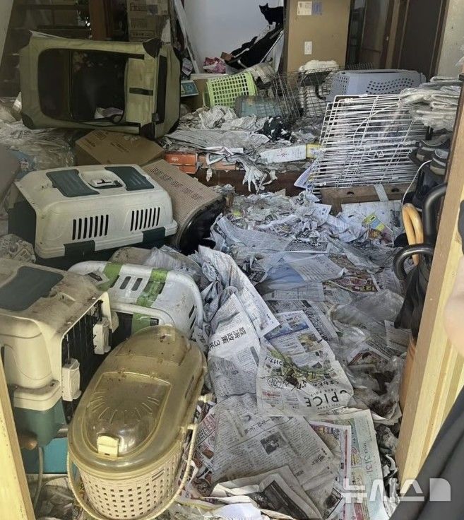  [뉴시스] 150마리의 고양이 사체가 발견된 곳은 다름 아닌 동물보호단체에서 자원봉사자로 활동하고 있는 여성의 집이었다. (사진=홍콩 사우스차이나모닝포스트) 2025.6.13&nbsp;&nbsp; 