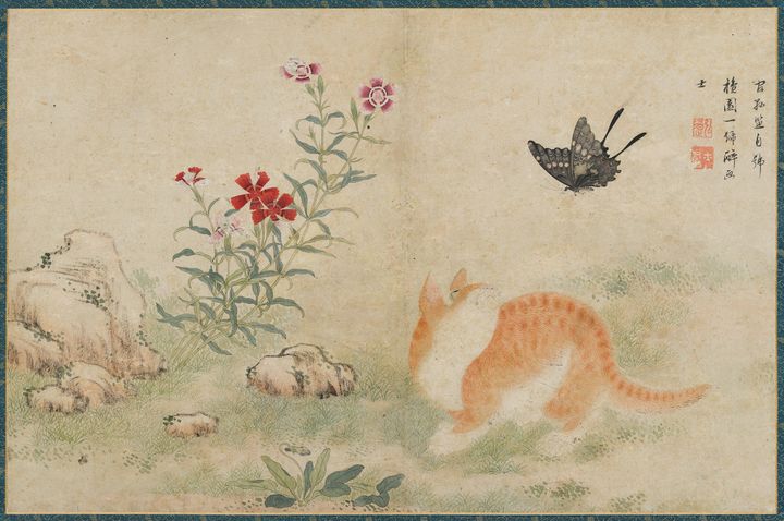 김홍도(金弘道, 1745~1806 이후) 황묘농접黃猫弄蝶 조선 18세기, 종이에 색 30.4×46.4cm, 간송미술문화재단 소장 *재판매 및 DB 금지