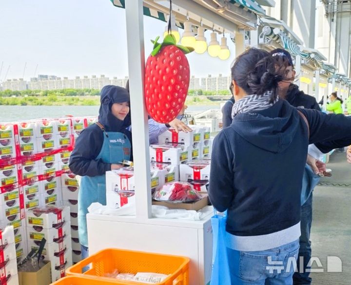 서울 잠수교 뚜벅뚜벅축제장에서 운영 중인 '장성군 농특산물 직거래장터' 모습. (사진=장성군 제공) photo@newsis.com