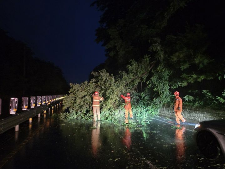 [고창=뉴시스] 비로 인해 나무가 쓰러져 조치 중인 소방대원. (사진=전북도소방본부 제공) *재판매 및 DB 금지
