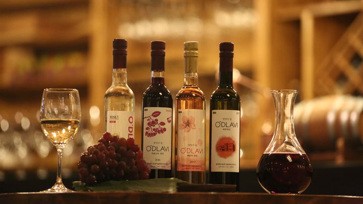 충북도농업기술원 와인연구소 생산 와인. (사진=충북도 제공) *재판매 및 DB 금지