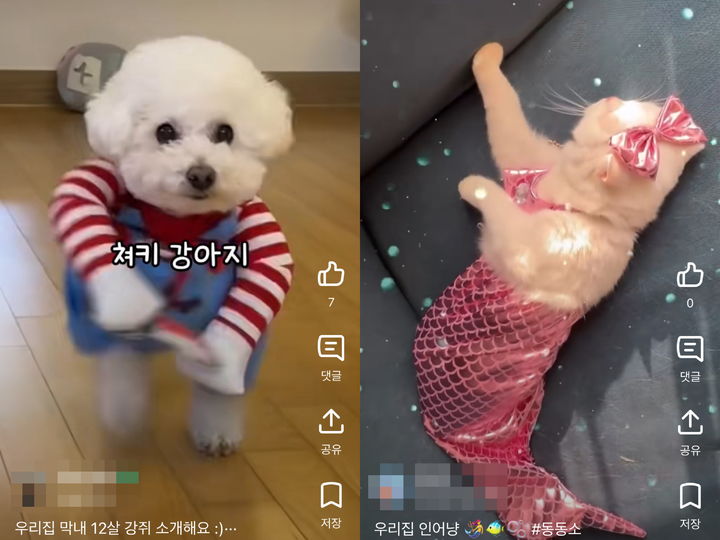 (사진='당근' 캡처) *재판매 및 DB 금지