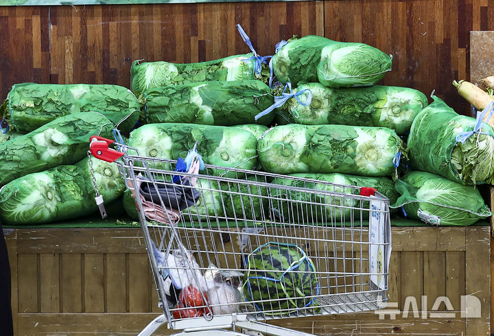[서울=뉴시스] 김근수 기자 = 서울 시내의 한 대형마트 매대에 배추가 진열돼 있다. 2025.06.15. ks@newsis.com