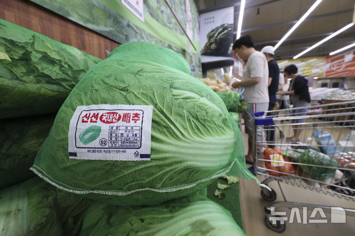 [서울=뉴시스] 김근수 기자 = 15일 서울 시내의 한 대형마트 매대에 배추가 진열돼 있다. 2025.06.15. ks@newsis.com
