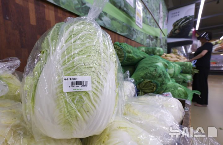 [서울=뉴시스] 김근수 기자 = 15일 서울 시내의 한 대형마트 매대에 배추가 진열돼 있다. 2025.06.15. ks@newsis.com