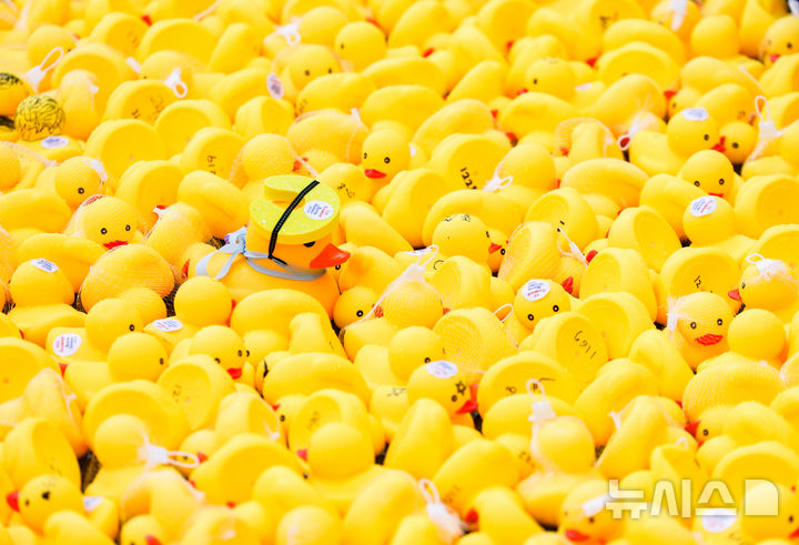 [김포=뉴시스] 황준선 기자 = 15일 경기 김포시 마리나베이에서 열린 아라마린페스티벌에서 포리레이스 경기가 펼쳐지고 있다. 2025.06.15. hwang@newsis.com