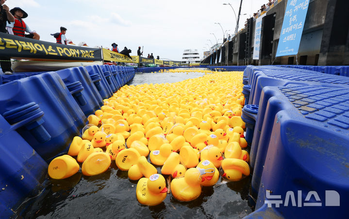 [김포=뉴시스] 황준선 기자 = 15일 경기 김포시 마리나베이에서 열린 아라마린페스티벌에서 포리레이스 경기가 펼쳐지고 있다. 2025.06.15. hwang@newsis.com