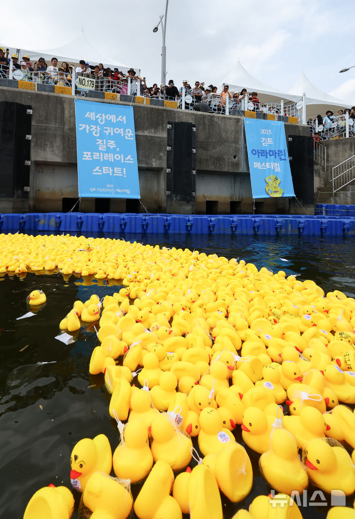 [김포=뉴시스] 황준선 기자 = 15일 경기 김포시 마리나베이에서 열린 아라마린페스티벌에서 포리레이스 경기가 펼쳐지고 있다. 2025.06.15. hwang@newsis.com
