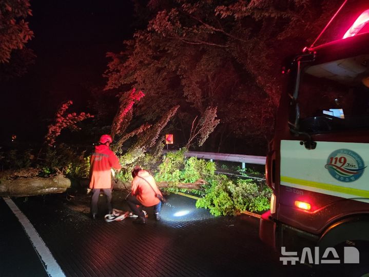 [제주=뉴시스] 15일 제주 서귀포시 남원읍 소재 도로에서 강풍에 나무가 쓰러져 소방당국이 안전조치에 나서고 있다. (사진=제주소방안전본부 제공) 2025.06.16. photo@newsis.com