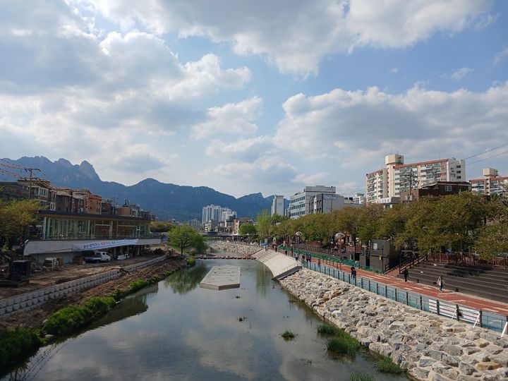[서울=뉴시스] 우이천(강북) 주간 사진. 2025.06.16 (사진 제공=서울시) photo@newsis.com *재판매 및 DB 금지