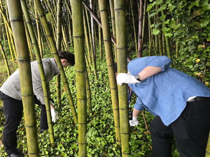 [광주=뉴시스] 덤불 속에서 대마 흡입 용의자가 숨긴 액상 대마를 찾는 완도해경. (사진=완도해경 제공) 2025.06.16. photo@newsis.com *재판매 및 DB 금지