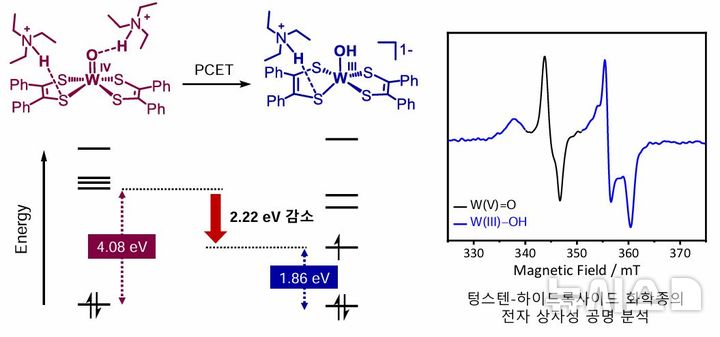 [광주=뉴시스]수소결합에 의한 분자 궤도 에너지 준위 감소 현상(왼쪽)과 전자상자성공명(EPR) 분석에 의해 생성이 최초로 관찰된 텅스텐-하이드록사이드 화학종(오른쪽).