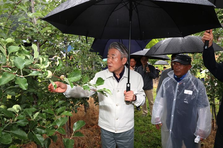 [세종=뉴시스]강호동 농협중앙회장이 16일 경북 청송, 김천의 우박 피해 농가를 찾아 피해상황을 점검하고 있다.(사진=농협중앙회 제공) *재판매 및 DB 금지