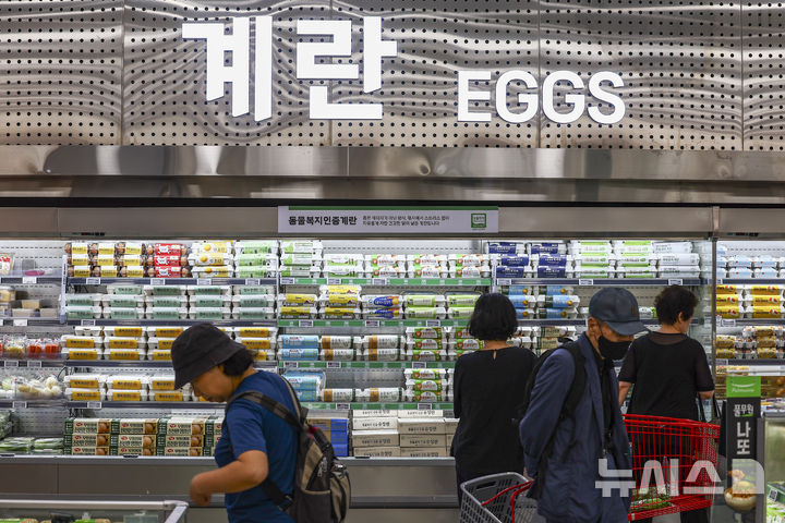 [서울=뉴시스] 김근수 기자 = 16일 서울 시내 한 대형마트 매대에 계란이 진열돼 있다. 2025.06.16. ks@newsis.com