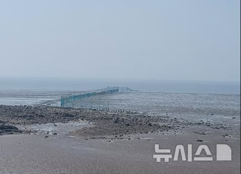 인천특사경, '산란기 불법어업 행위' 집중단속…6건 적발