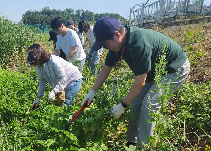 [서울=뉴시스] SK바이오사이언스 임직원들이 성남시 탄천 일대에서 외래종 유해식물을 제거하고 있다.(사진=SK바이오사이언스 제공) *재판매 및 DB 금지