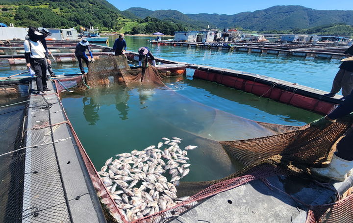 *재판매 및 DB 금지