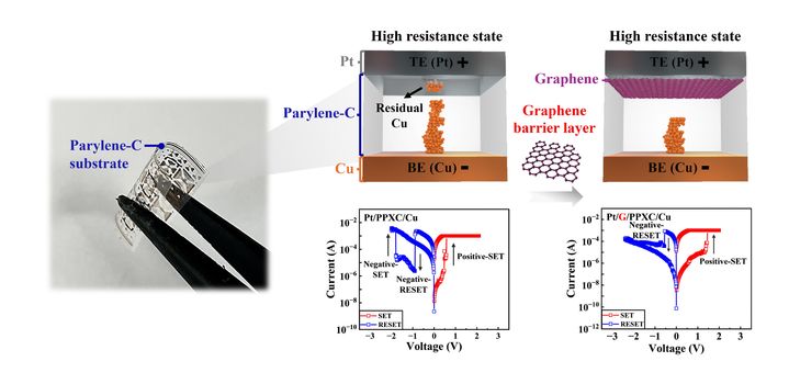 사진은 유연 Parylene-C 기반 RRAM 소자(왼쪽)와 그래핀 장벽 도입에 따른 전류-전압 특성. (사진=서울시립대 제공) *재판매 및 DB 금지