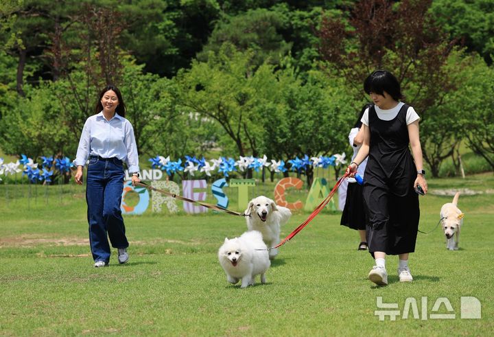 반려견과 숲속 트레킹…에버랜드, '멍하니 걷개' 론칭