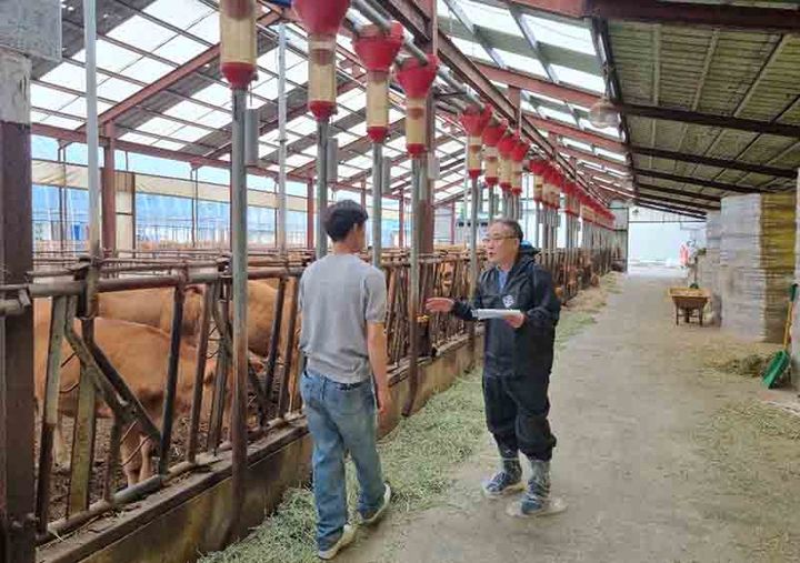 삼척시농업기술센터는 지난 17일, 농촌진흥청 국립축산과학원과 함께 미로면 한우농가를 찾아 축산 맞춤형 종합컨설팅을 실시하고 있다.(사진=삼척시 제공)&nbsp; *재판매 및 DB 금지