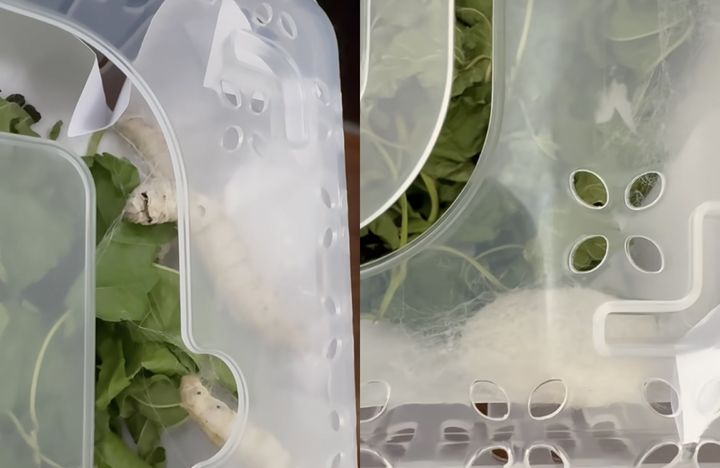 [서울=뉴시스] 배우 손예진이 17일 인스타그램 부계정 '@yejinfoot_official'을 개설하고 올린 게시물. (사진=손예진 인스타그램 캡처) 2025.06.18. photo@newsis.com *재판매 및 DB 금지