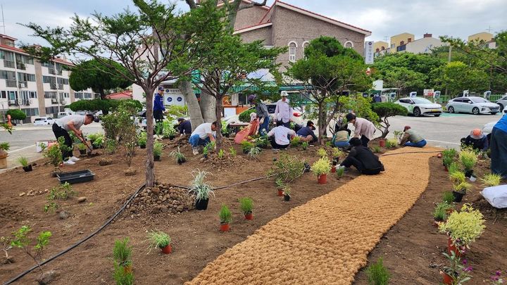 [제주=뉴시스] 마을정원 만들기 공모에 선정된 제주시 이도2동 영산홍주택에서 지난 7일 지역주민들이 함께 나서서 정원을 조성하고 있다. (사진=제주도 제공) 2025.06.18. photo@newsis.com *재판매 및 DB 금지