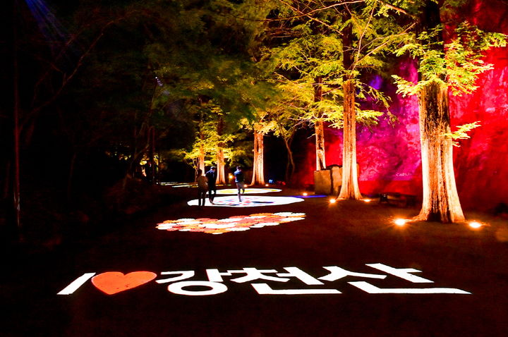 [순창=뉴시스] 야간개장 중인 순창 강천산군립공원 풍경. *재판매 및 DB 금지