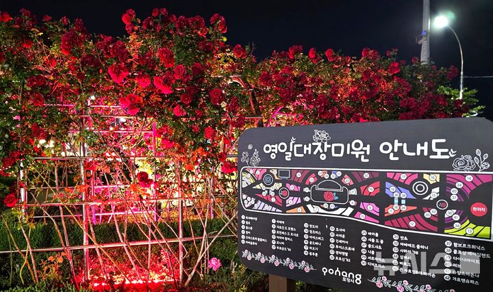 [포항=뉴시스] 송종욱 기자 = 경북 포항시가 지난 10년간 총 11만 그루의 장미를 심어 장미 도시로 자리매김하고 있다. 사진은 영일대 장미원 안내도. 2025.06.18. sjw@newsis.com