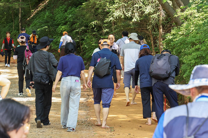 [대전=뉴시스] 조명휘 기자 = 대전 대덕구 계족산 힐링 맨발걷기대회 참여자들이 황톳길을 걷고 있다. (사진= 대덕구 제공) 2025.06.18. photo@newsis.com *재판매 및 DB 금지