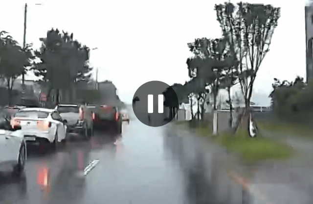 [제주=뉴시스] 지난 16일 오전 제주시 연북로에서 스타벅스 직원들이 차량 화재를 발견하고 매장 소화기를 이용해 진화 작업을 벌이고 있다. (사진=제주소방안전본부 제공) 2025.06.18. photo@newsis.com *재판매 및 DB 금지