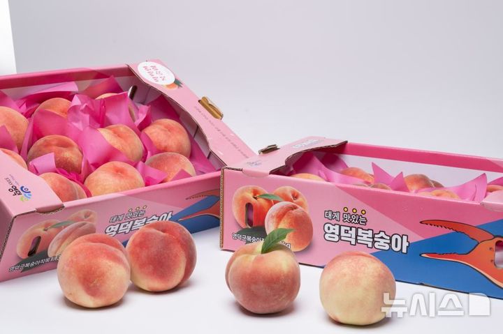 영덕 복숭아.(사진=영덕군 제공)
