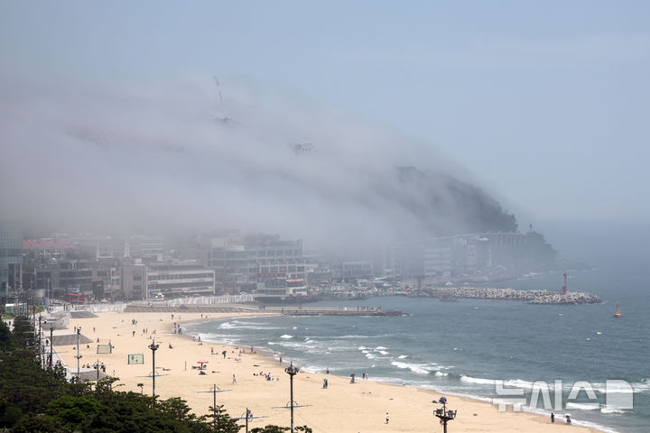 [부산=뉴시스] 하경민 기자 = 무더운 날씨를 보인 18일 부산 해운대구 달맞이고객 일대가 짙은 해무로 뒤덮여 장관을 연출하고 있다. 2025.06.18. yulnetphoto@newsis.com