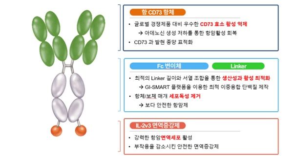 [서울=뉴시스] GI-108 단백질 구조 그림 (사진=지아이이노베이션 제공) 2025.06.19. photo@newsis.com *재판매 및 DB 금지