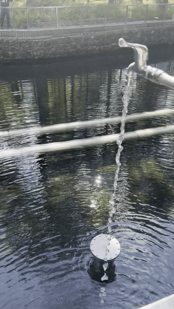 [연길=뉴시스] 농심 백산수 수원지인 내두천을 흐르는 물을 담는 모습. (사진=뉴시스) photo@newsis.com *재판매 및 DB 금지
