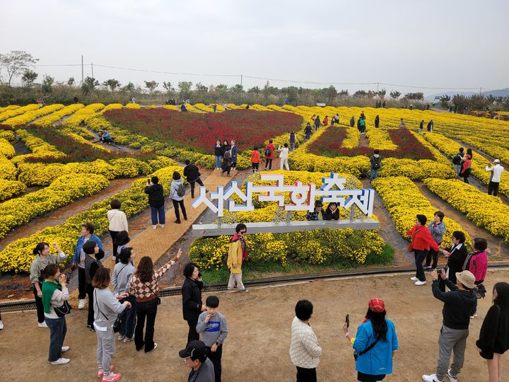 [서산=뉴시스] 지난 2023년 11월 충남 서산시 고북면에서 열린 서산국화축제장 모습. (사진=서산시 제공) 2025.06.19. photo@newsis.com *재판매 및 DB 금지