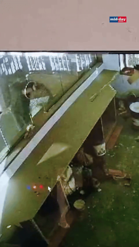 [뉴시스] 인도의 한 맥주 가게에서 좁은 창문을 넘어 금품을 훔친 도둑이 화제가 되고 있다.(사진=midday) *재판매 및 DB 금지 *재판매 및 DB 금지