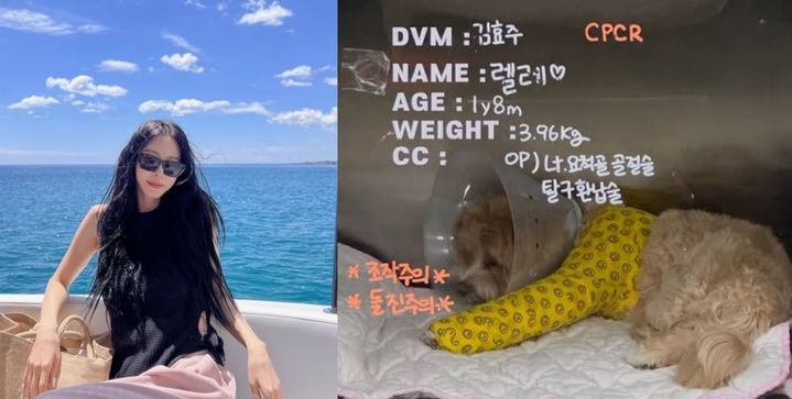 [서울=뉴시스] 한예슬. (사진=한예슬 인스타그램 캡처) 2025.06.20. photo@newsis.com&nbsp; *재판매 및 DB 금지