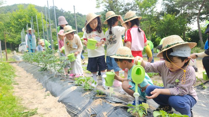 [계룡=뉴시스]계룡시는 계룡시도시치유농업연구회와 함께 지난달 12일부터 20일까지 총 10회에 걸쳐 어린이를 대상으로 '도시농업 텃밭생태 프로그램'을 운영했다. 텃밭에 물을 주고 있다. (사진=계룡시 제공) 2025. 06. 20 photo@newsis.com *재판매 및 DB 금지