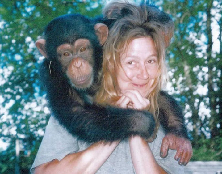 [서울=뉴시스] 미국 코네티컷에 거주하는 찰라 내시(71·여)는 2009년 친구에 집에 방문했다가 친구가 키우던 침팬지 트래비스에게 공격 당해 얼굴과 손에 심각한 부상을 입었다. (사진=더 미러 US 캡처) 2025.06.20 *재판매 및 DB 금지