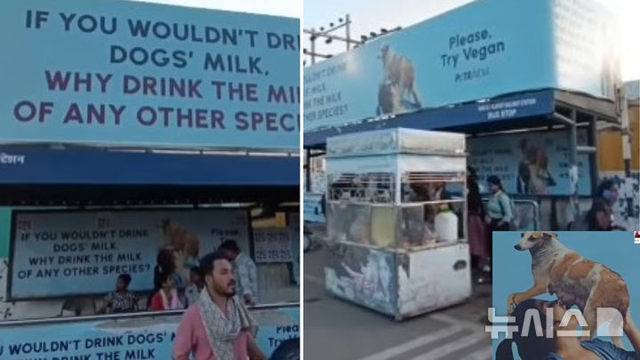 [뉴시스] 인도 보팔의 한 도로에 설치된 포스터에 사람이 개 젖을 마시는 장면이 묘사돼 지나가는 시민들에게 충격을 주고 있다. (사진=THE FREE PRESS JOURNAL) 