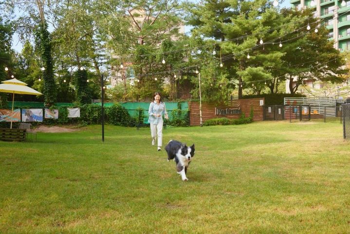 [서울=뉴시스] 소노펫 플레이그라운드. (사진=소노인터내셔널 제공) *재판매 및 DB 금지